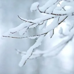 冬の雪景色