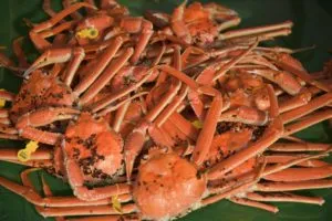 タグ付き越前がに